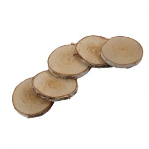 5 Houtschijfjes Berk 8-10cm