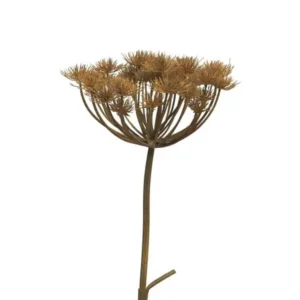 Berenklauw Bruin 95cm