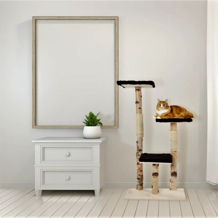 Berken Krabpaal Rocco 110x65cm