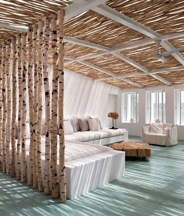 Berkenstam vanaf 175 tm 300cm Ø 8-9cm (3)