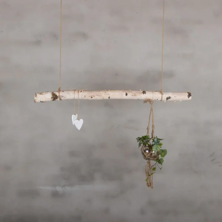 Berkentakhanger 100 cm 1