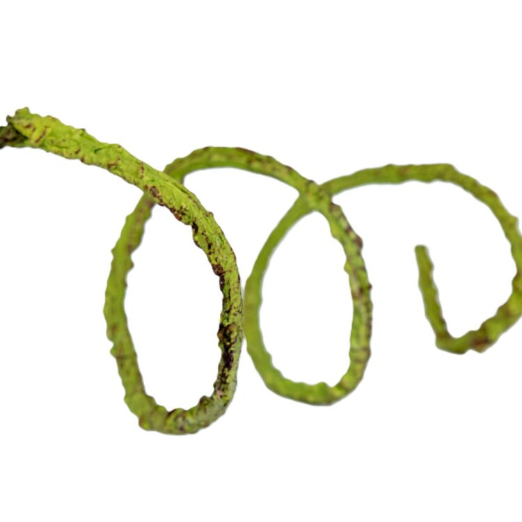 Buigtakken groen (1)