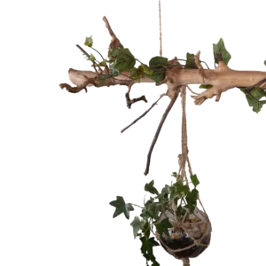 Deko-Äste zum aufhangen