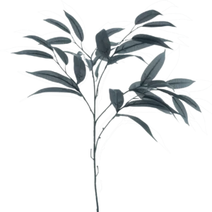 Schwarze kunstblumen