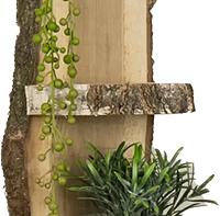 Categorie afbeelding - Wooninrichting