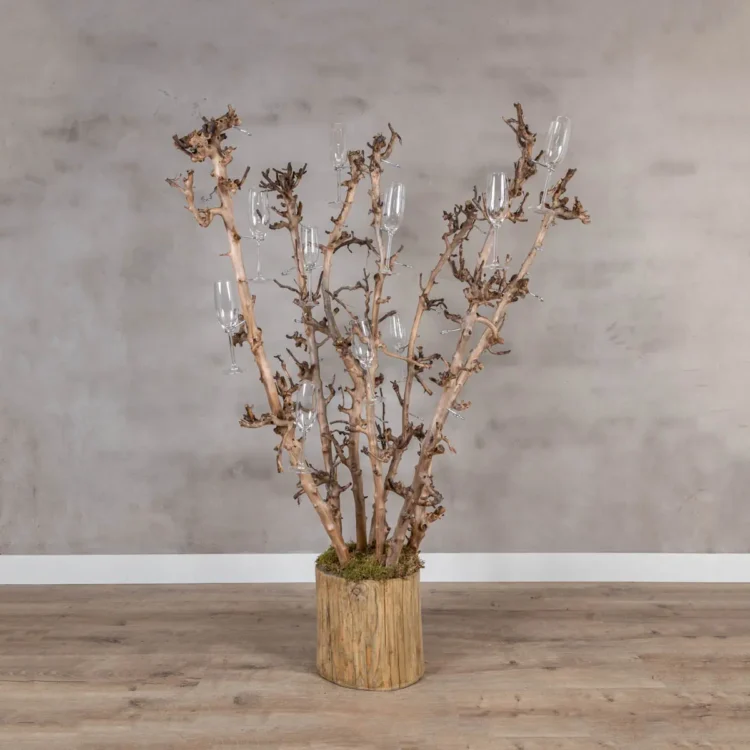 Champagneboom met zeven perentakken – 150cm (1)