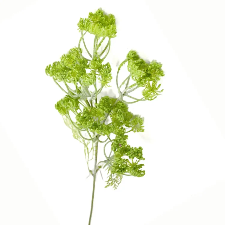 Dille vertakt Groen 50cm