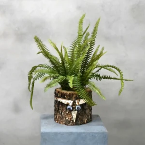 Eikenstammetje Varenwoud (1)