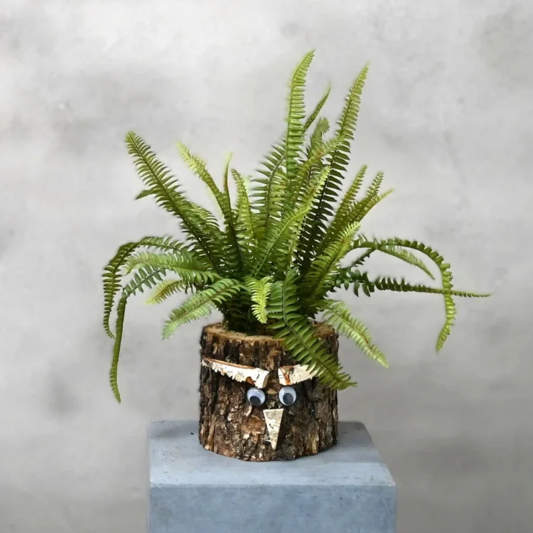 Eikenstammetje Varenwoud (1)