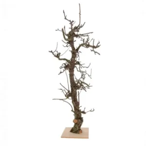 Fruitboom groot Naturel 150cm