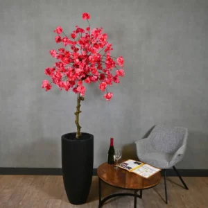 Grote bloesemboom Naomi met pot Fuchsia 200cm