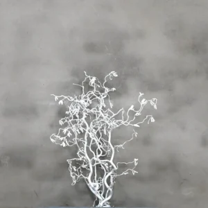 Hazelaartak wit 50 cm