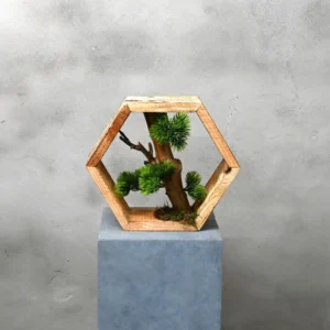 Hexagon Japandi Stijl (1)