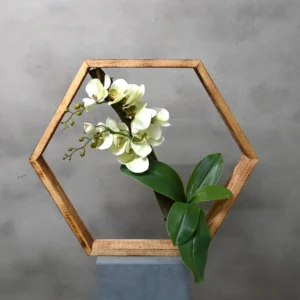 Hexagon Orchidee Geluk (1)
