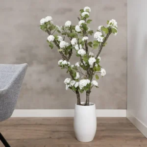 Hortensiaboom Victoria Wit Zonder pot 150cm (5)