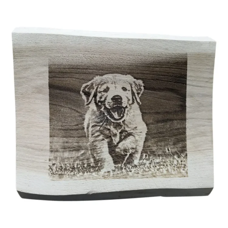 Houten plank Gepersonaliseerde Fototekst 40cm