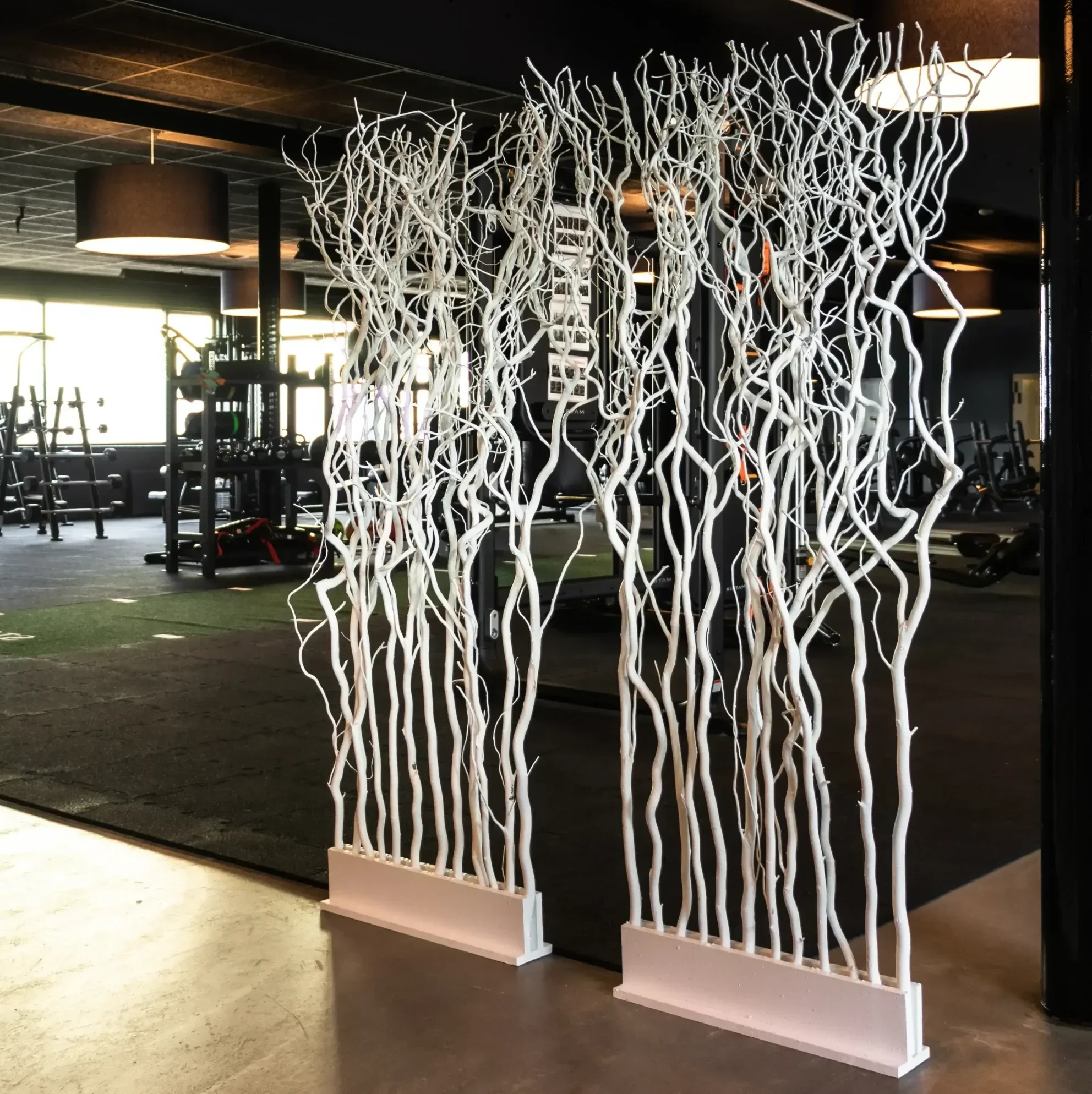 Kronkelroomdivder Svea