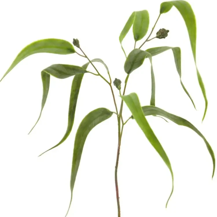 Kunsttak treurwilgblad 80cm