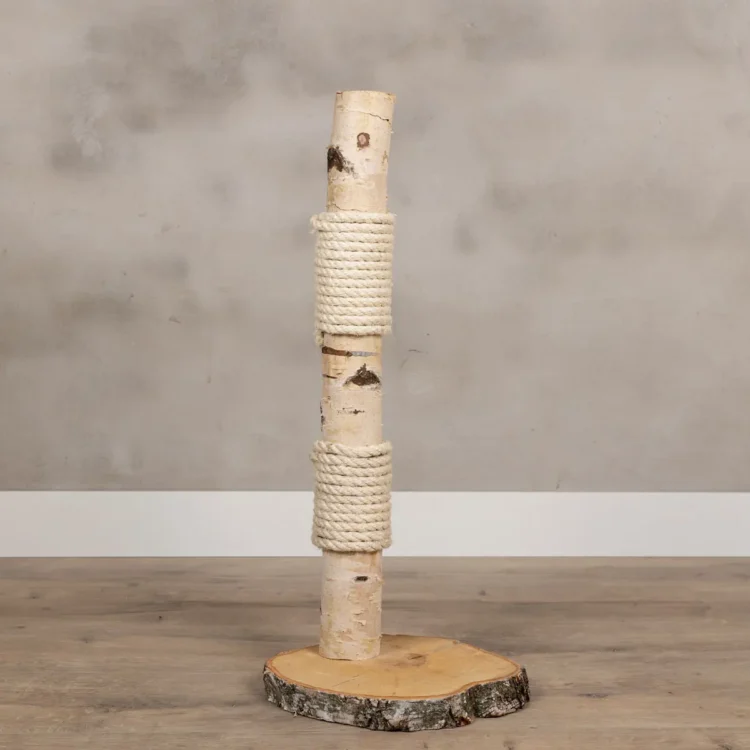 Mini Berken krabpaal Ollie 75cm