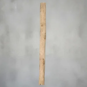 Ontschorste stammen (1)