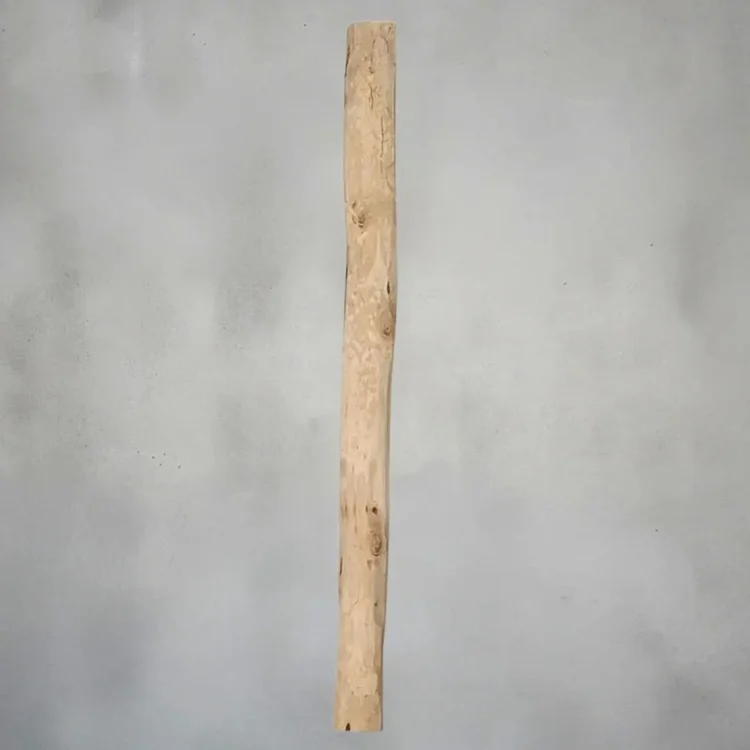 Ontschorste stammen (1)