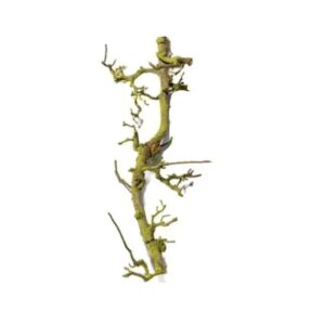 Perentak naturel 120 cm