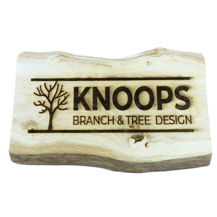 Plank Knoops design (1)