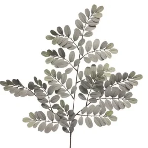 Robiniatak Grijs Groen 70cm