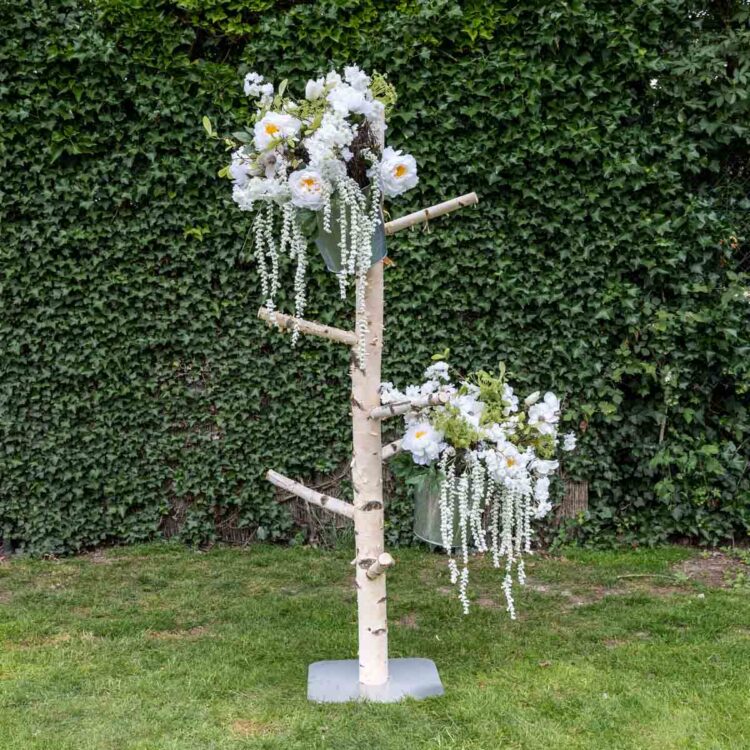 Staande berken kapstok met grote zijtakken (5)