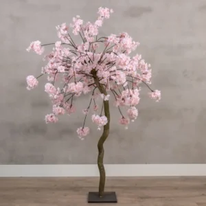 Tafelbloesemboom Camille Rozen120cm