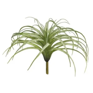 Tillandsia 35cm
