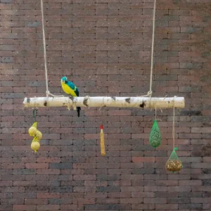 Volière tak Berk 150cm (1)