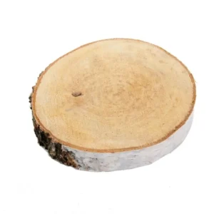 houtschijf berk 20-25 cm