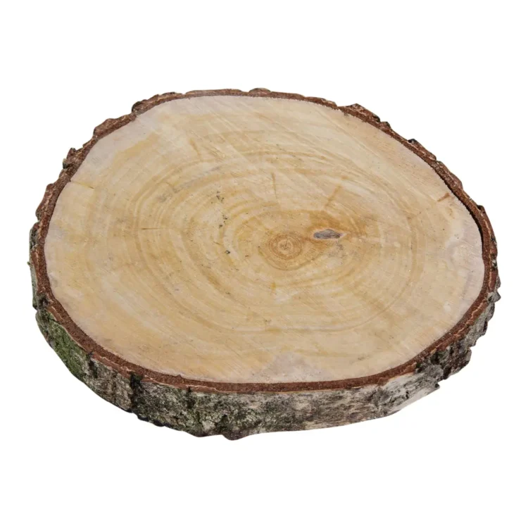 houtschijf berk 25-30 cm