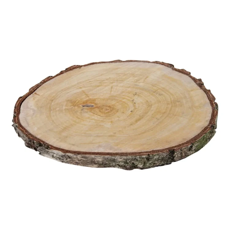 houtschijf berk 30-35cm